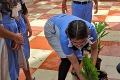 Tree-4